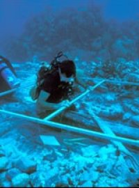 Potápěči provádějí dokumentaci zbytků lodi