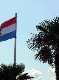 Chorvatská vlajka a palmy