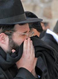 Ortodoxní Židé u Zdi nářků prosí za zachování jednotného Jeruzaléma