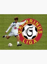 Fotbalová Gambrinus liga