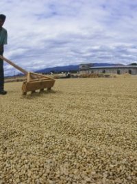 Ekonomika Fair Trade klade důraz na sociální a ekologické souvislosti mezinárodního obchodu