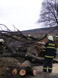 Hasiči odstraňují padlé stromy