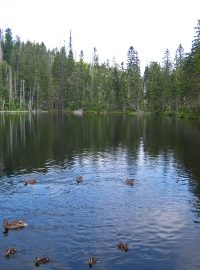 Šumava - Prášily