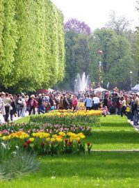 V areálu Flory olomouc