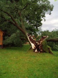 Následky vichřice na Mladoboleslavsku
