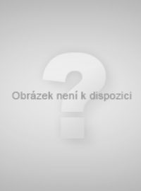 Britská policie propustila Libyjce, který byl odsouzen za tetroristický útok u Lockerbie