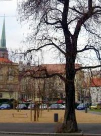 Plzeň