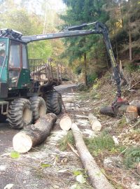 Kokořínsko se zbaví všech následků srpnové vichřice do jara příštího roku