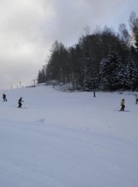 Lyžaři (ilustr. obr.)
