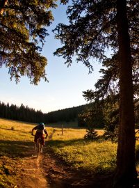 Biker projíždí po singletracku při západu slunce