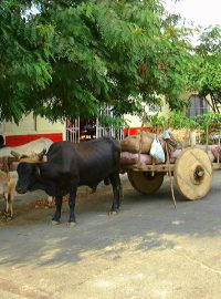 Nikaragua 