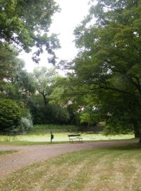 Park (ilustr. obr.)