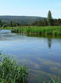 Krajina Národního parku Šumava