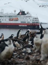 Turisté musí na antarktických březích respektovat přísná pravidla, aby neohrozili křehkou rovnováhu tamní přírody