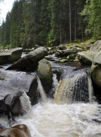 Šumava