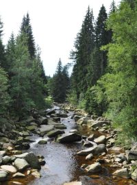 Šumava