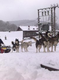 Závod psích spřežení Šediváčkův long