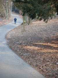 Cyklisté na stezce