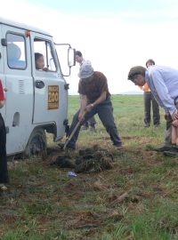 Koně Převalského z pražské Zoo už jsou v Mongolsku