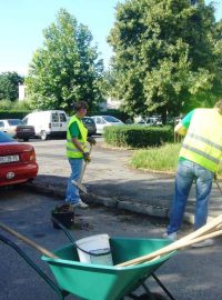 V Kutné Hoře začala akce Zelené město (9)