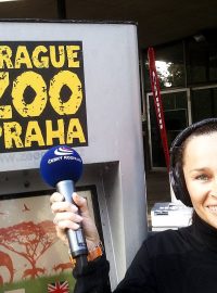 Pražská zoo oslavovala 80. narozeniny a Radiožurnál byl u toho
