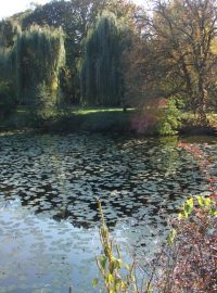 Bubeníkovy sady a Matiční jezero v Pardubicích v dnešní době