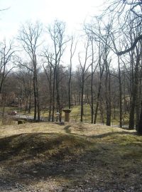 Lochotínský park v Plzni