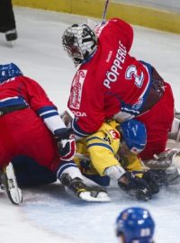 Tomáš Pöpperle čelí nájezdům švédských hokejistů