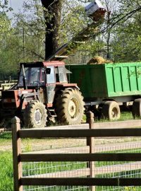 Traktor