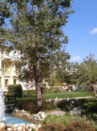 Areál hotelu Limak Arkadia v Beleku