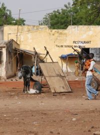 Proso se vrací do Senegalu