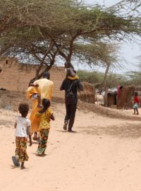 Proso se vrací do Senegalu