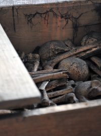 Ostatky čtrnácti františkánů umučených v 17. století byly otevřeny v pražském kostele Panny Marie Sněžné