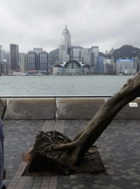 Hongkong, tajfun