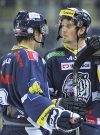 Utkání 28. kola hokejové extraligy Bílí Tygři Liberec - HC Sparta Praha 4. prosince v Liberci. Liberecký útočník Jan Víšek (vpravo).