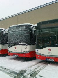 Dopravní podnik Praha koupil deset nových midibusů