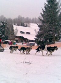 V Deštném odstartoval závod psích spřežení Šediváčkův long