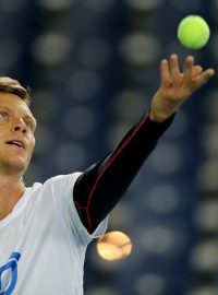 Tomáš Berdych je českou, nejen daviscupovou jedničkou