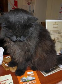 O Bulgakovské muzeum byl v Moskvě opravdu velký zájem