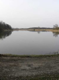 Bohdanečský rybník