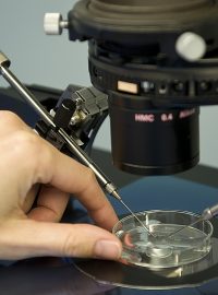 Centrum asistované reprodukce v ÚPMD