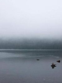 Černé jezero, Národní park Šumava