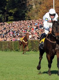 123. Velká pardubická, žokej Jan Faltejsek s Orphée de Blins