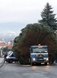 Stříbrný smrk je připravený k odjezdu na Zámecké náměstí