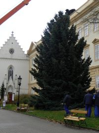 Vánoční strom už je na svém místě na Zámeckém náměstí