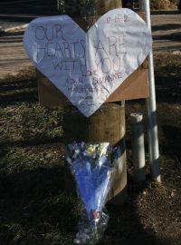20letý Adam Lanza postřílel v základní škole Sandy Hook v Connecticutu dvacet dětí a šest dospělých, pak zbraň obrátil proti sobě