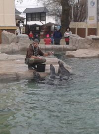 Ústí nad Labem, zoo. Chovatel Lukáš Ševcovic při krmení tuleňů vypráví návštěvníkům zajímavosti o těchto zvířatech