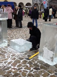 Ledosochání v Jindřichově Hradci