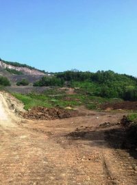 Sesutý svah na dálnici D8 nad Litochovicemi na Litoměřicku. Geologové místo měsíc zkoumali, projektanti teď podle jejich doporučení navrhnou, jak dálnici zabezpečit