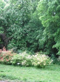 V květnu je arboretum nejkrásnější